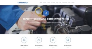 Private Company - Mechanic Services